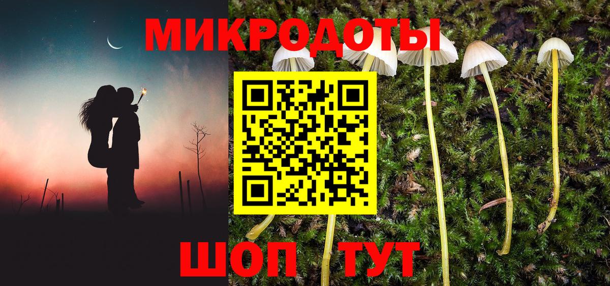 Чита  Псилоцибиновые грибы мицелий  Вход с VPN  Галлюциногенные грибы ЛСД 